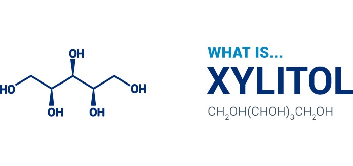 xylitol ingredient header