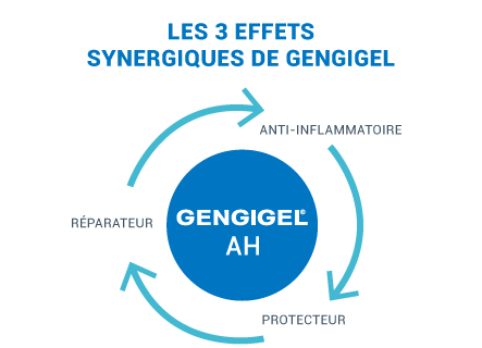 3 synergistic effects of gengigel: reparative, anti-inflammatory and proctective