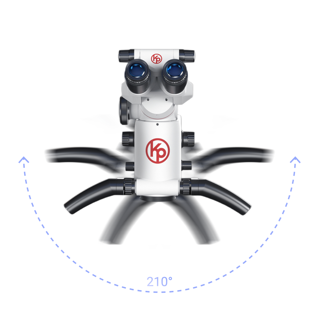 isee-pro-freedom-of-movement