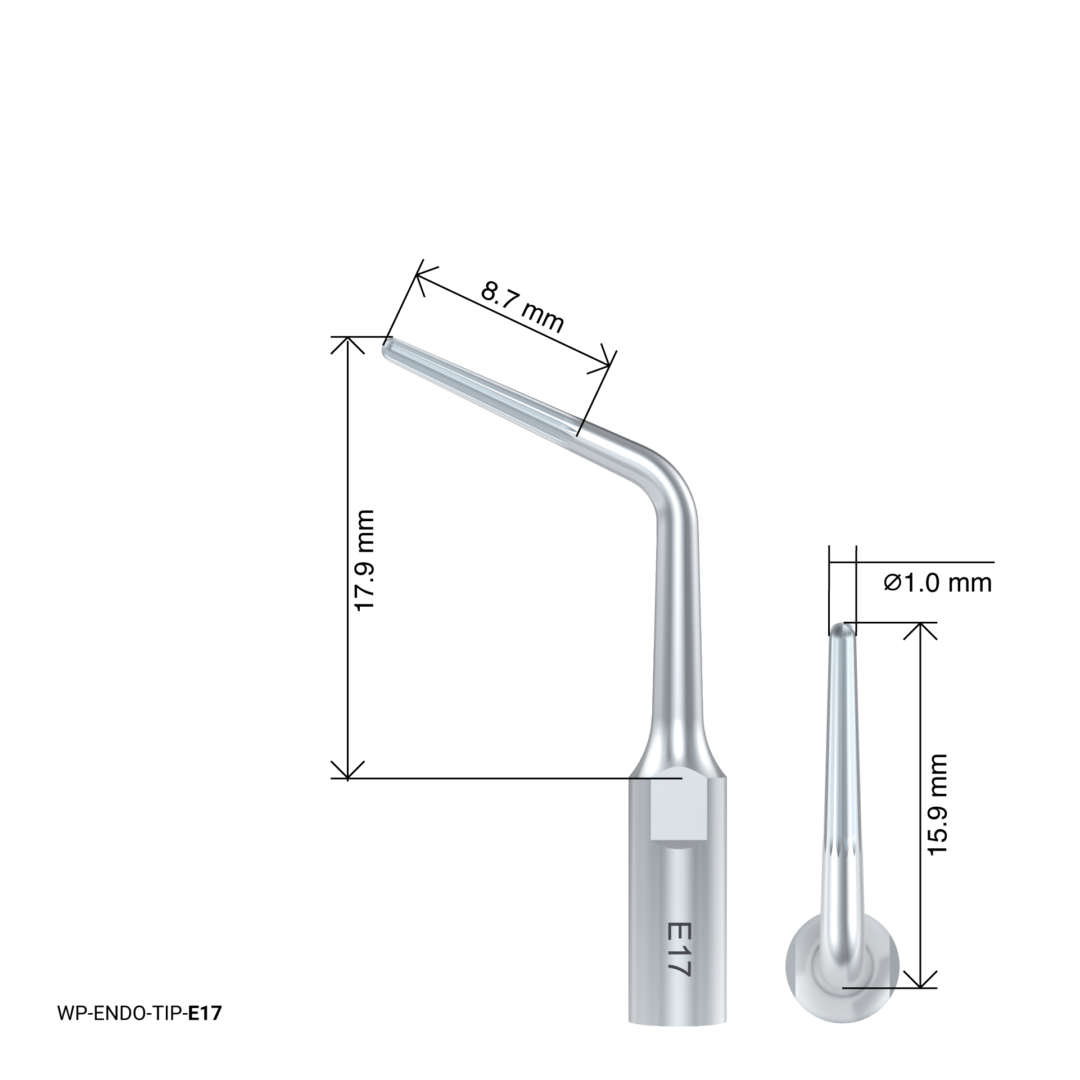 Endodontic Tip – E17