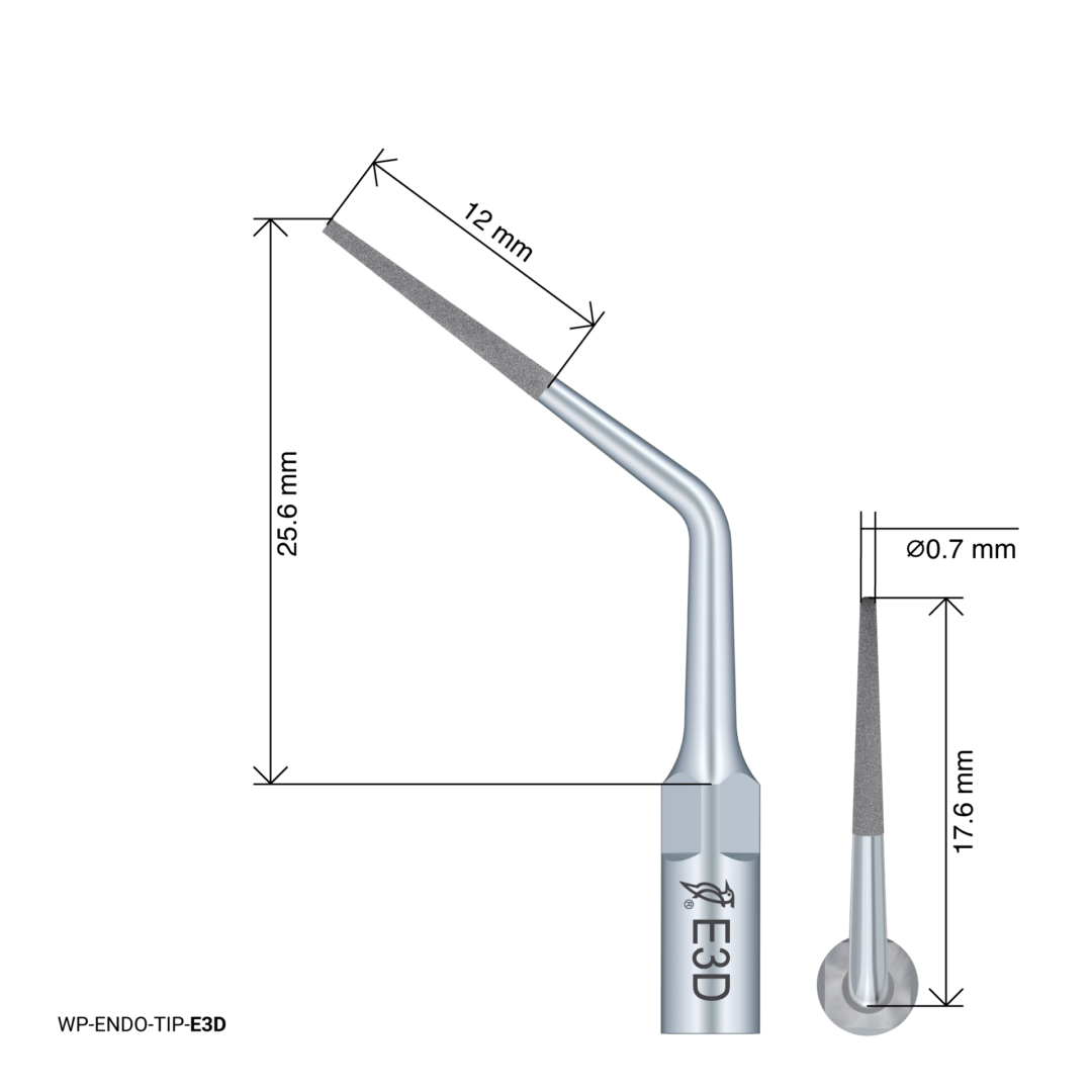 Endodontic Tip – E3D