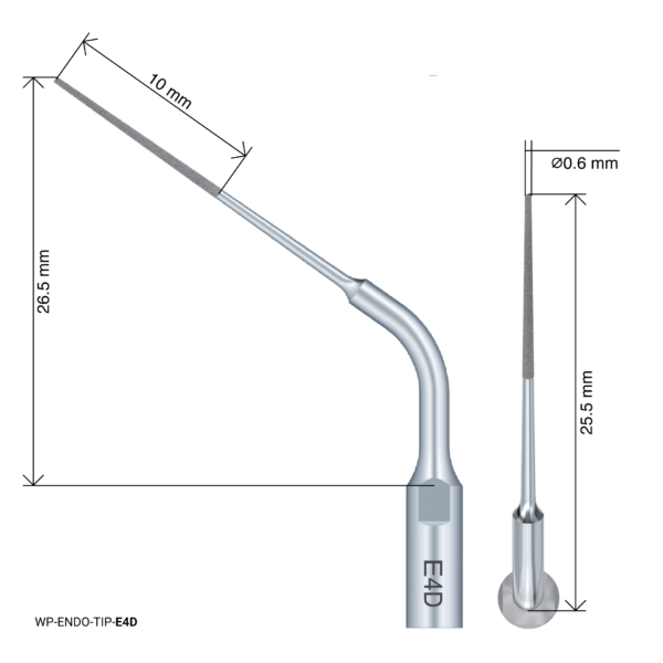 WP-ENDO-TIP-E4D WP-ENDO-TIP-E4D