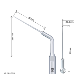 Endodontic Tip - E6