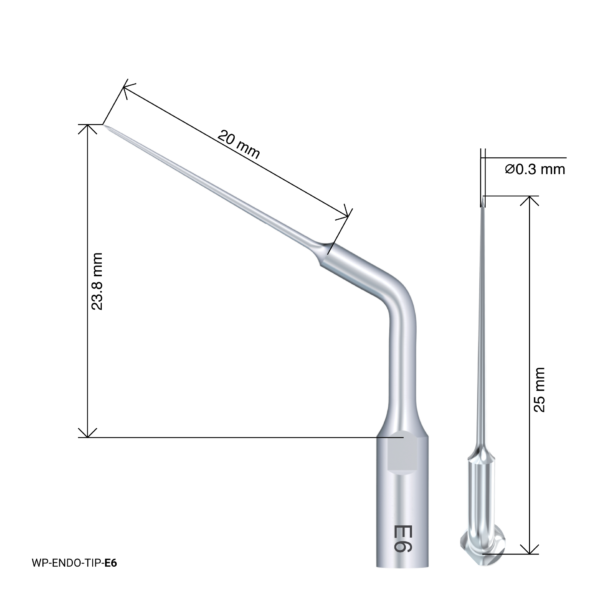 WP-ENDO-TIP-E6 WP-ENDO-TIP-E6
