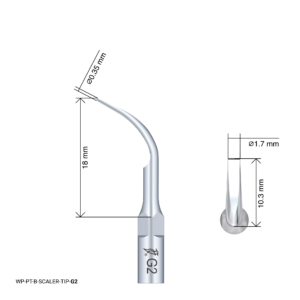 Woodpecker Scaling Tip - G2
