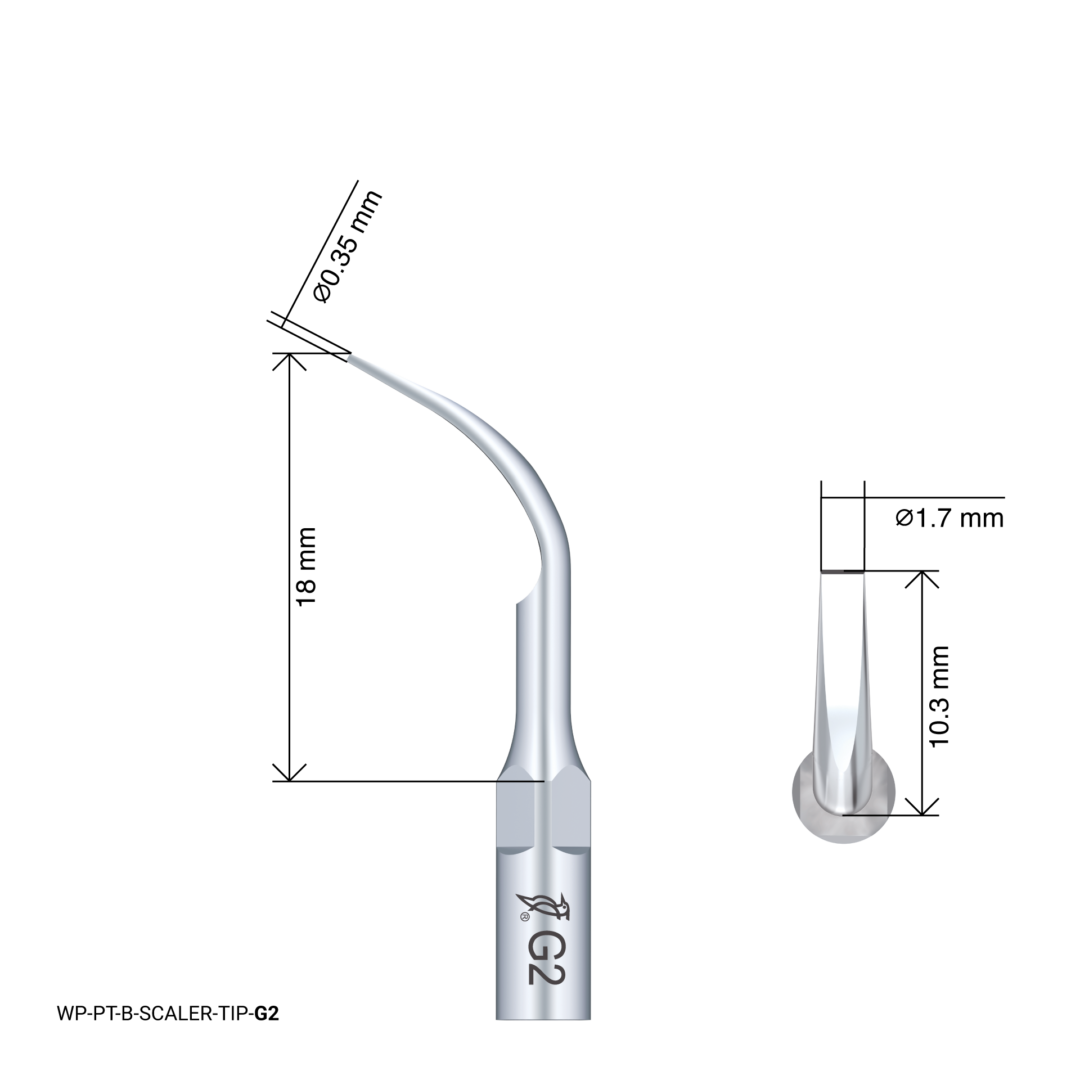 Woodpecker Scaling Tip – G2