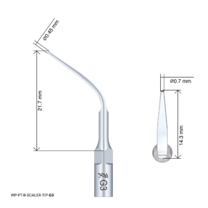 Woodpecker Scaling Tip - G3