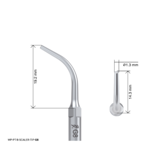 Woodpecker Scaling Tip - G8