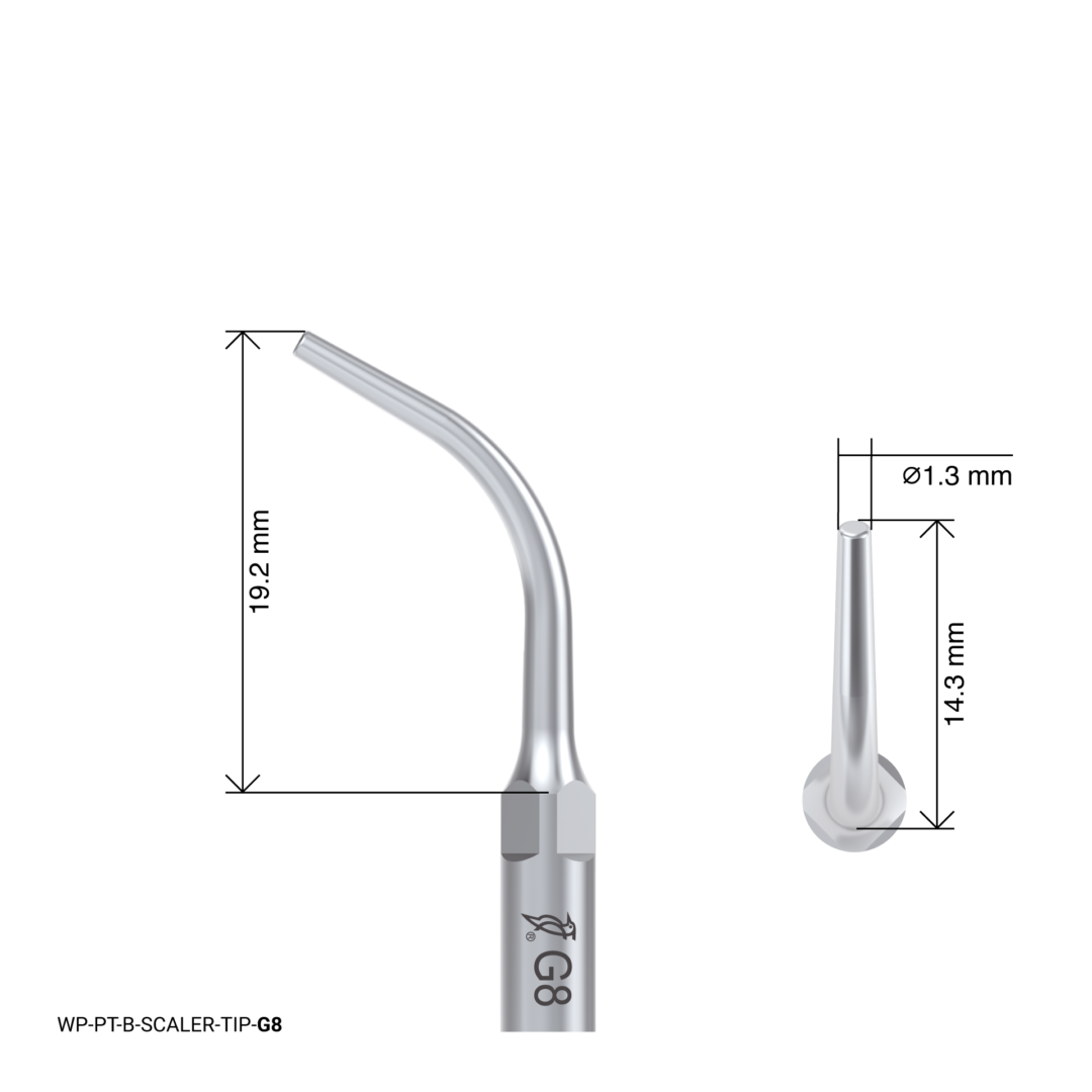 Woodpecker Scaling Tip – G8
