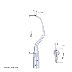 Woodpecker Scaling Tip - P12