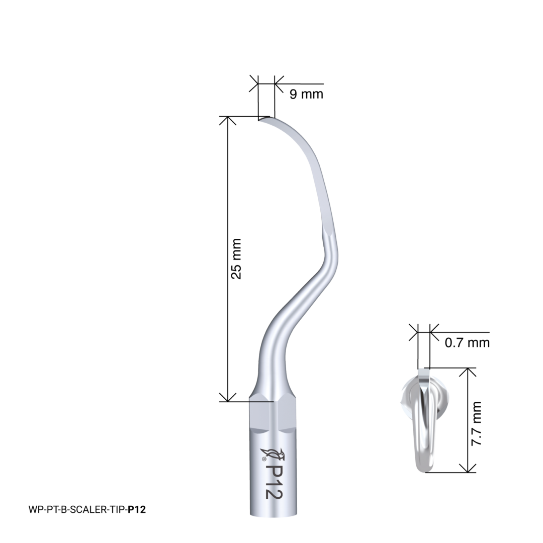 Woodpecker Scaling Tip – P12