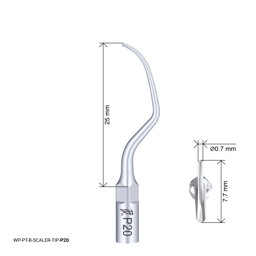 Woodpecker Scaling tip – P20