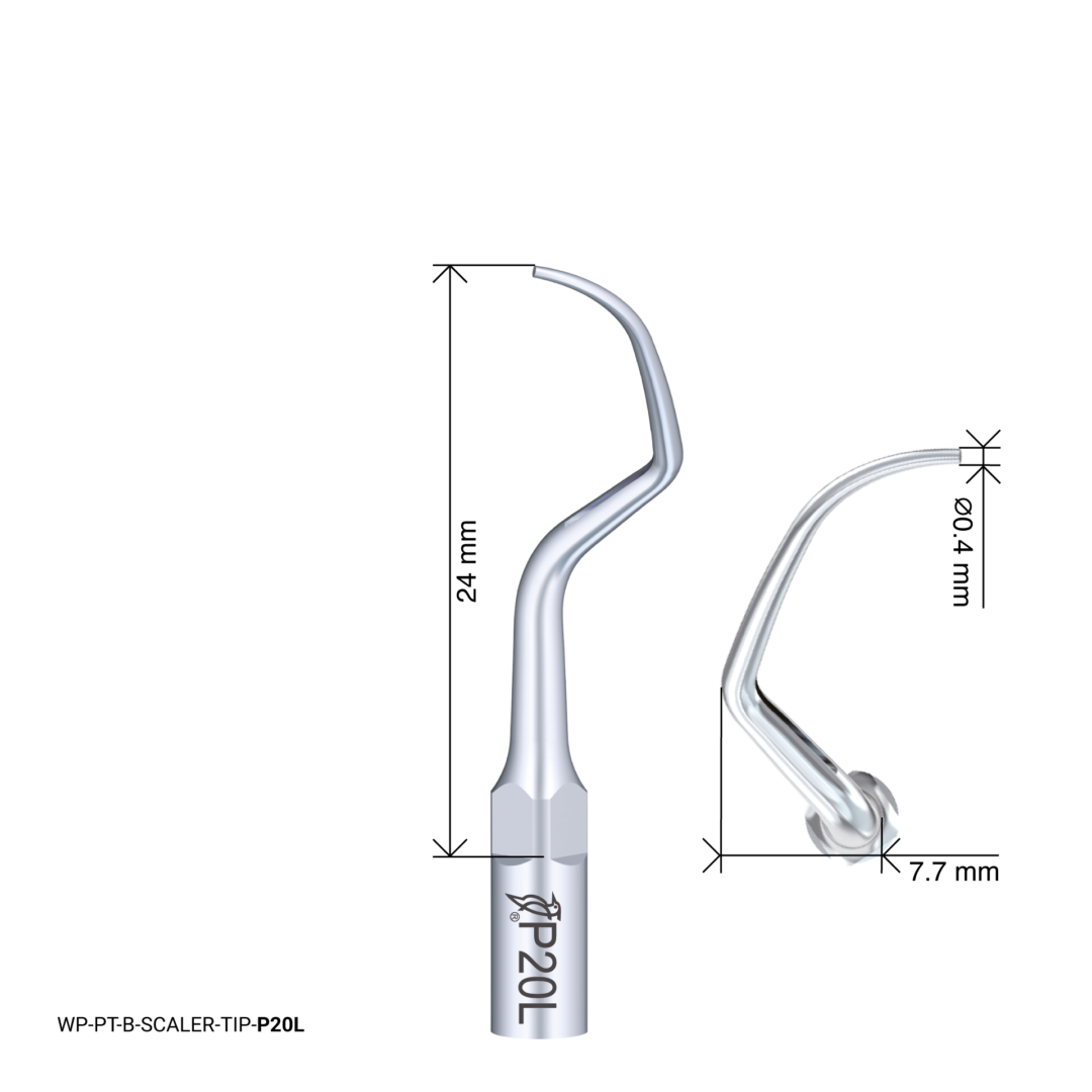 Woodpecker Scaling Tip – P20L