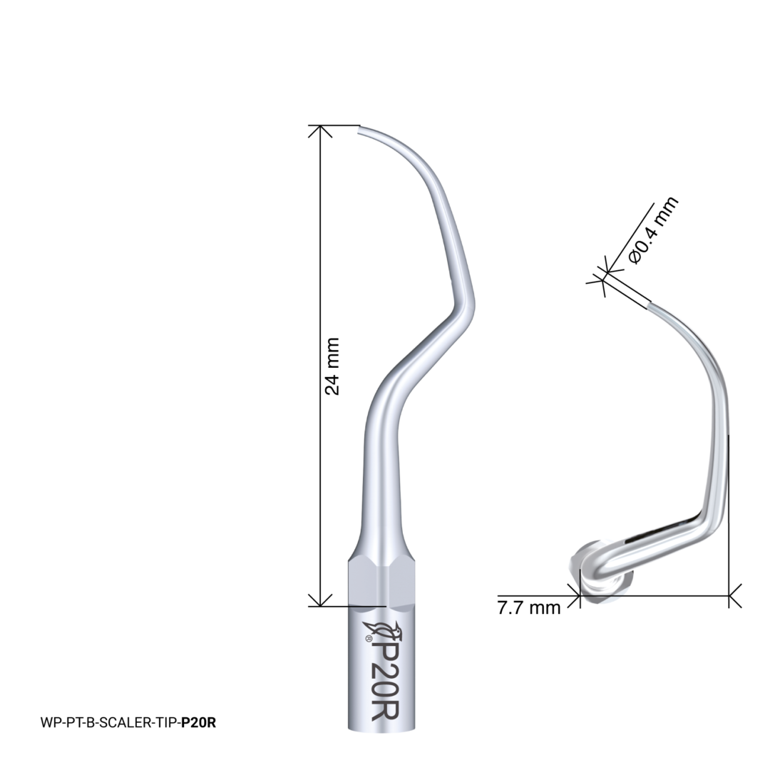 Woodpecker Scaling Tip – P20R