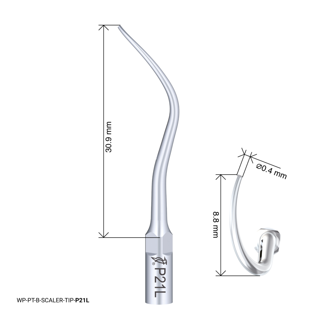 Wodpecker Scaling Tip – P21L