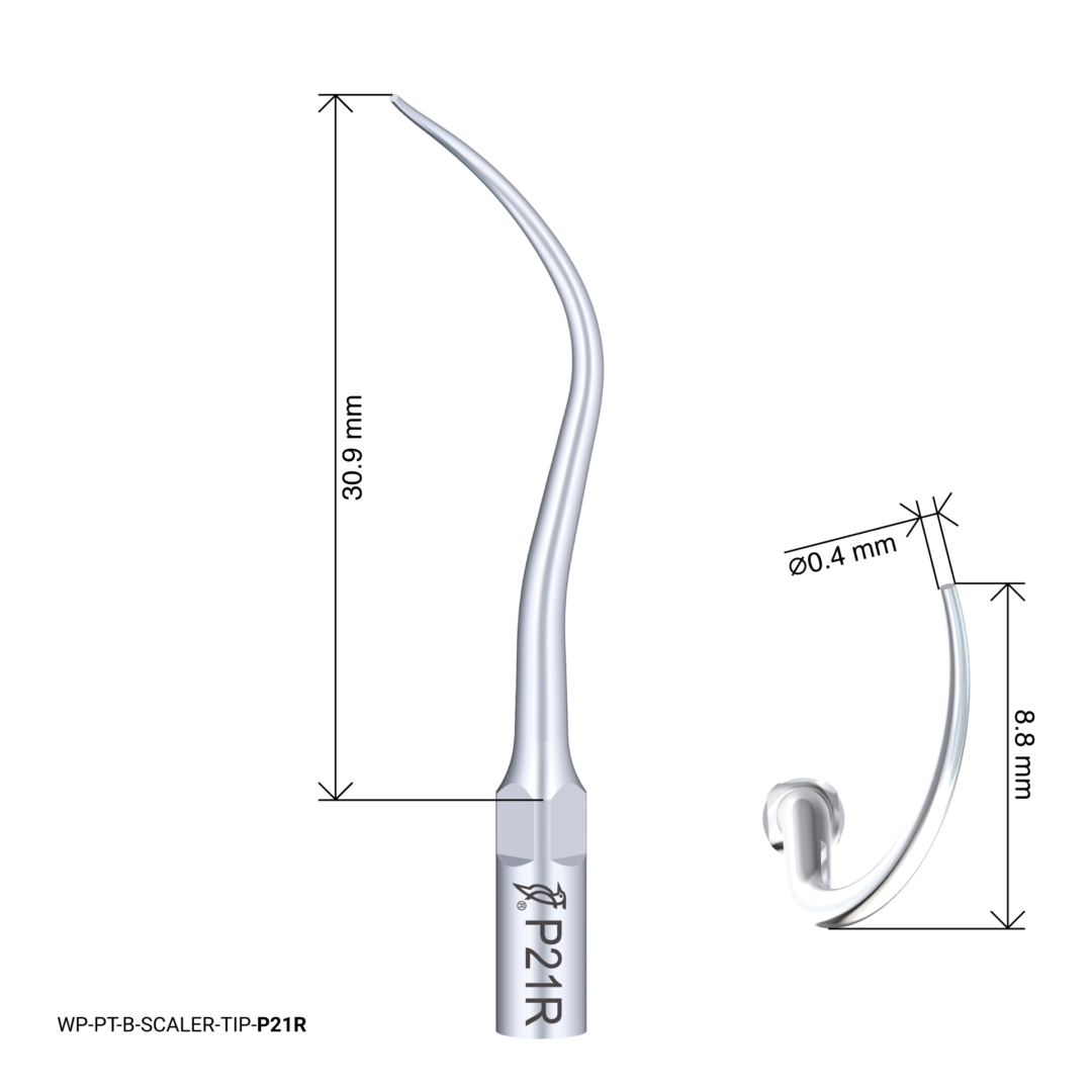 Woodpecker Scaling Tip – P21R
