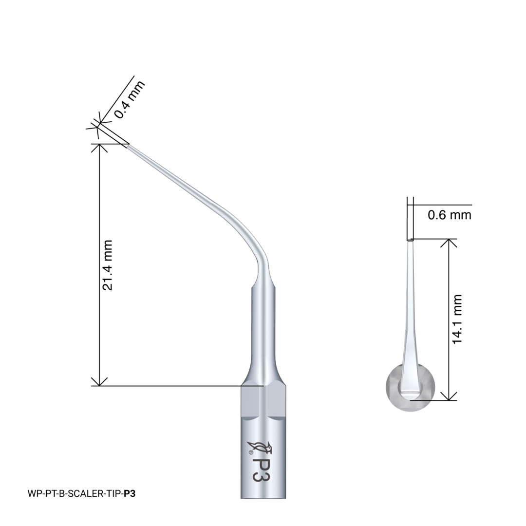 Woodpecker Scaling Tip – P3