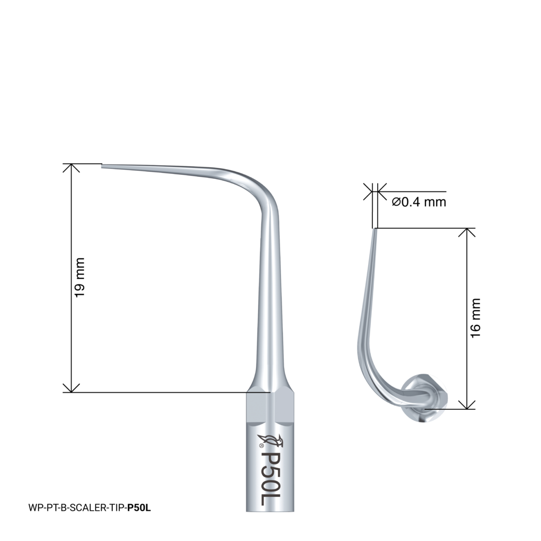 Woodpecker Scaling Tip – P50L