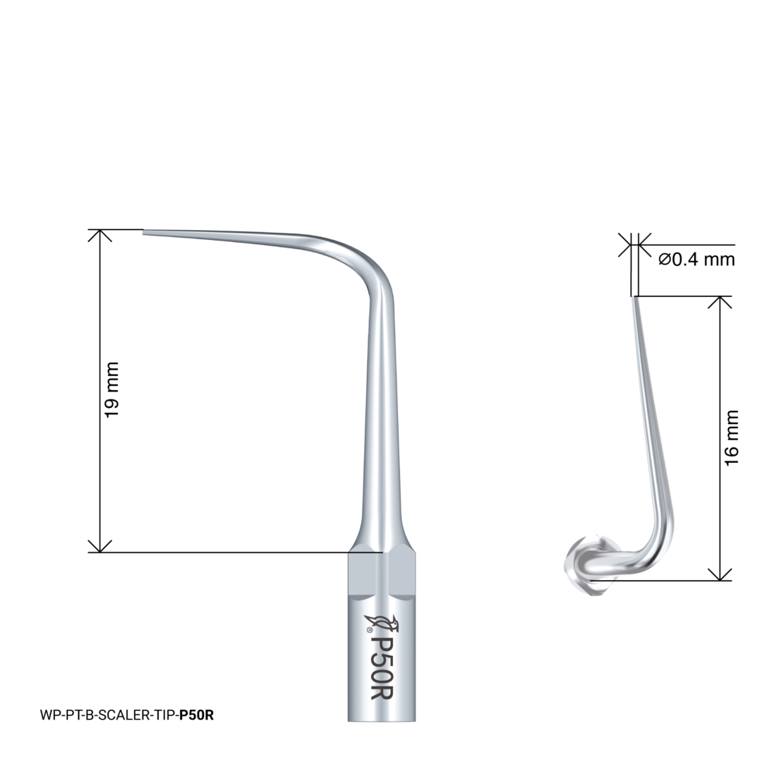 Woodpecker Scaling Tip – P50R