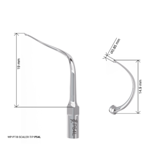 Woodpecker Scaling Tip - P54L
