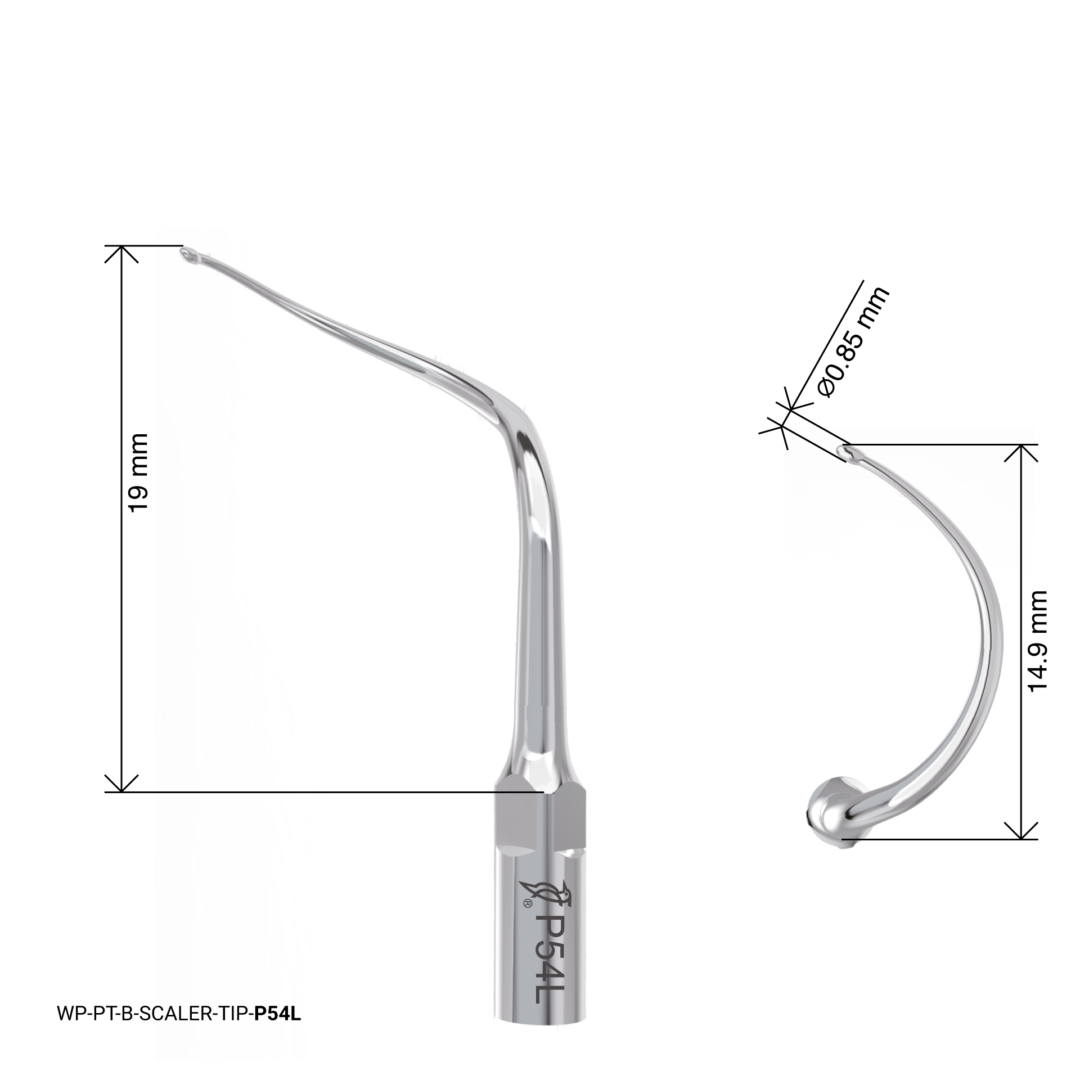 Woodpecker Scaling Tip – P54L