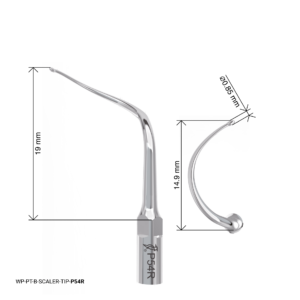Woodpecker Scaling Tip - P54R
