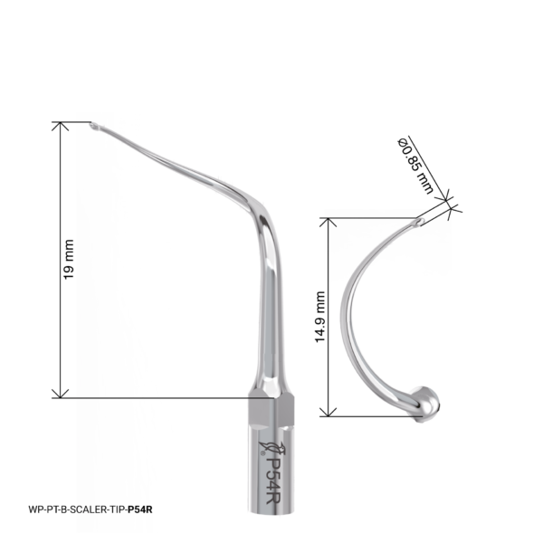 WP-PT-B-SCALER-TIP-P54R