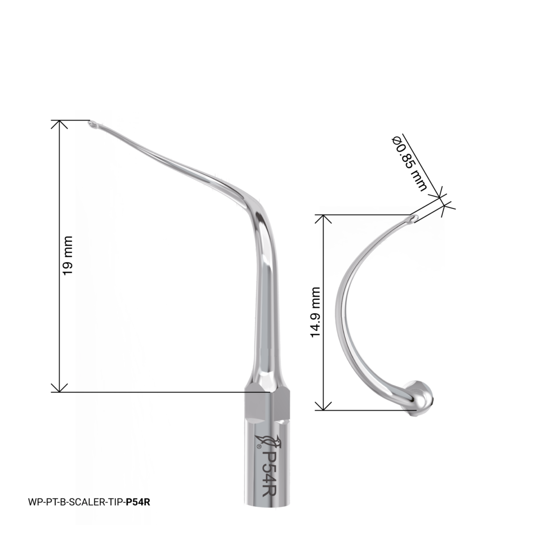 Woodpecker Scaling Tip – P54R