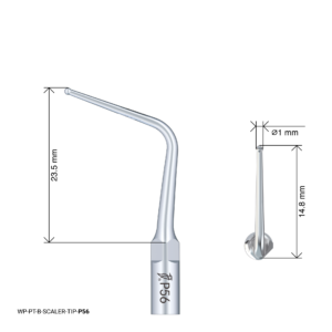 Woodpecker Scaling Tip - P56