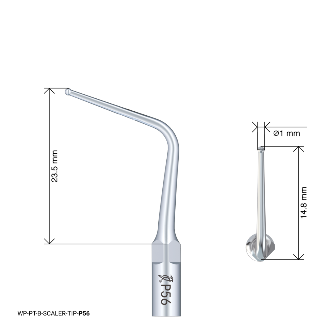 Woodpecker Scaling Tip – P56