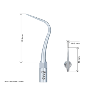 Woodpecker Scaling Tip - P59
