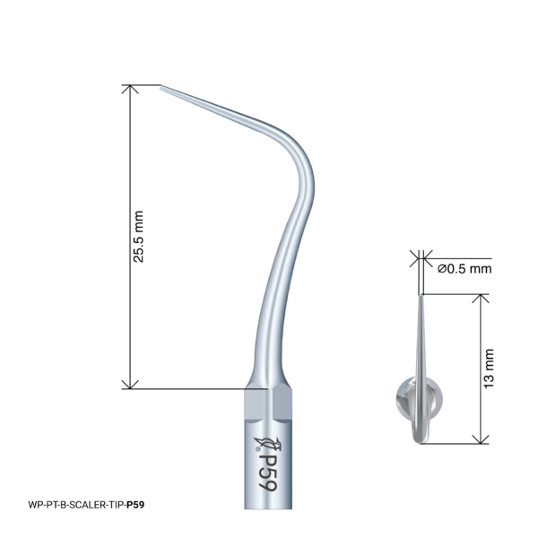 WP-PT-B-SCALER-TIP-P59