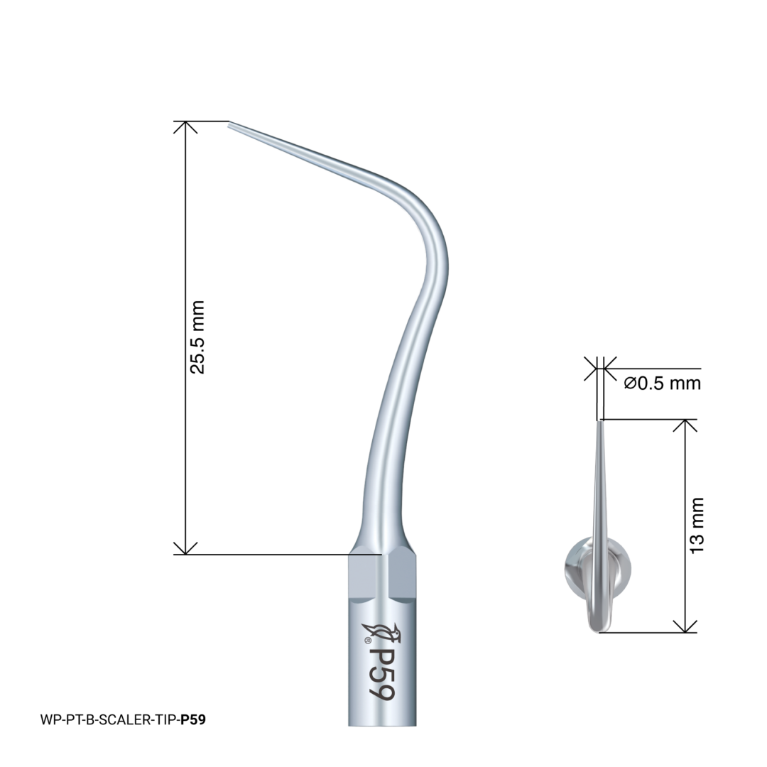 Woodpecker Scaling Tip – P59