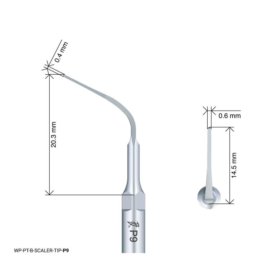 Woodpecker Scaling Tip- P9