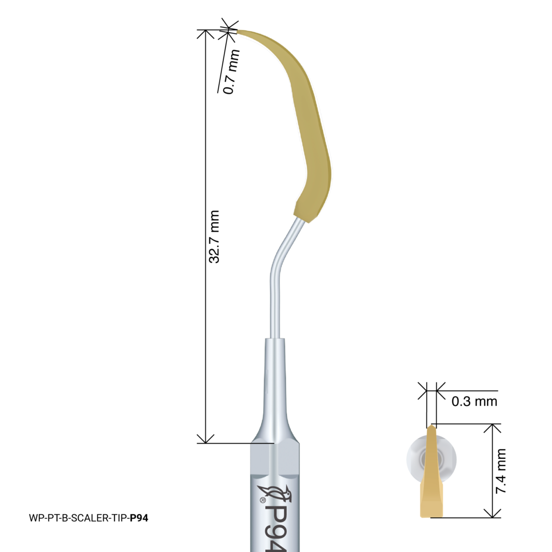 Woodpecker Scaling Tip – P94
