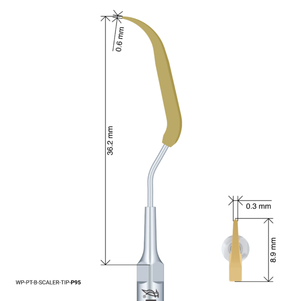 WP-PT-B-SCALER-TIP-P95 WP-PT-B-SCALER-TIP-P95