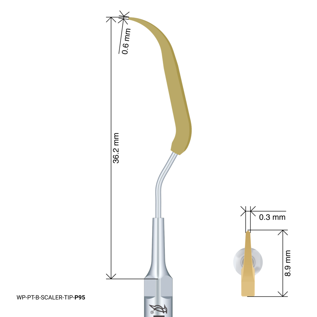Woodpecker Scaling Tip – P95